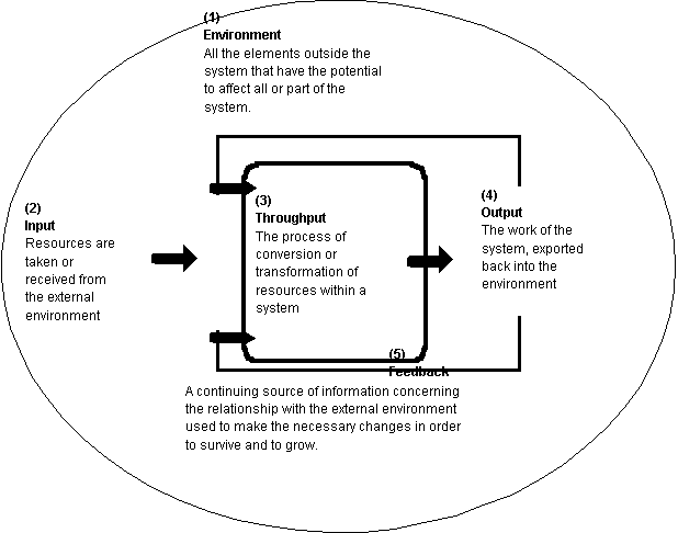 Open systems model